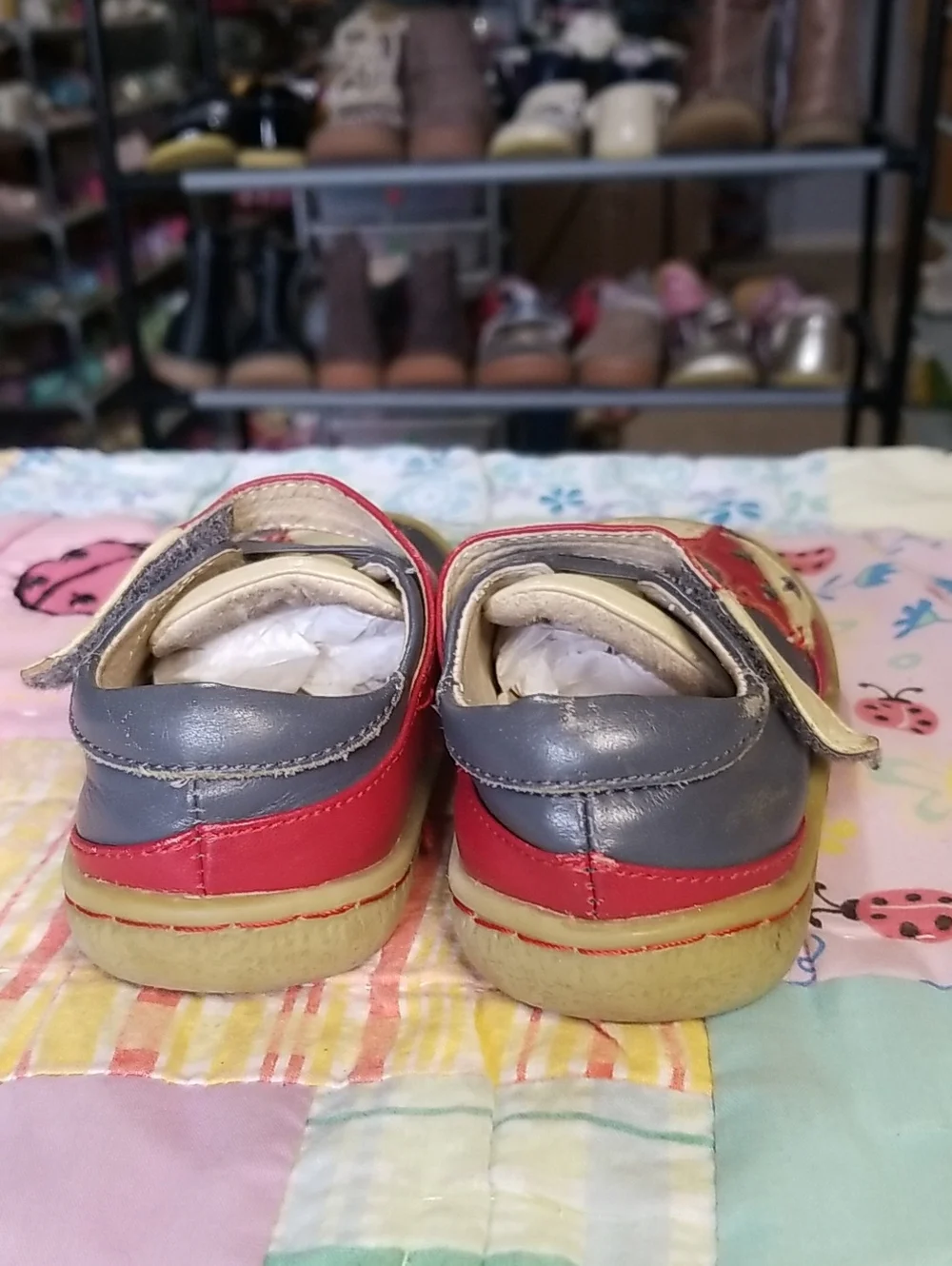 Livie & Luca Toddler Leather Shoes in Blue/Gray, Cream & Red Size 5 Foxes